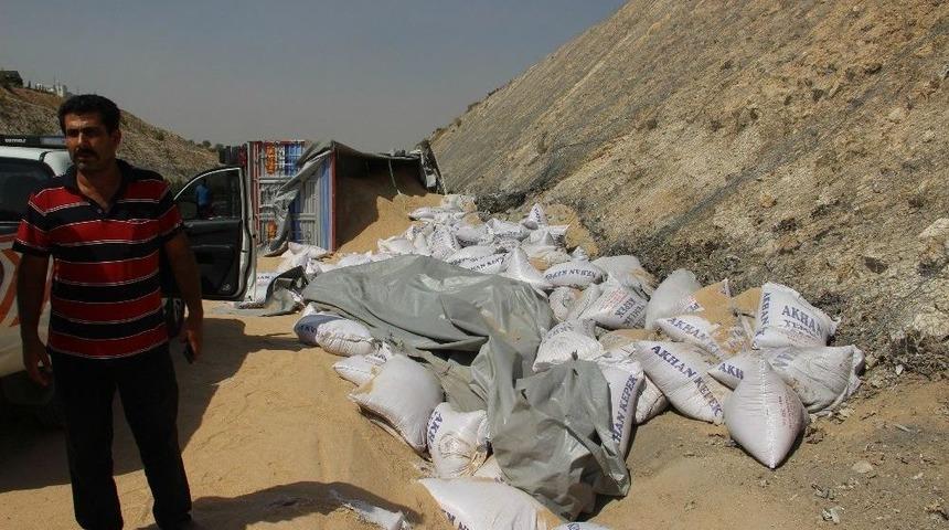 Tır Devrildi Onlarca Ton Kepek Yola Saçıldı