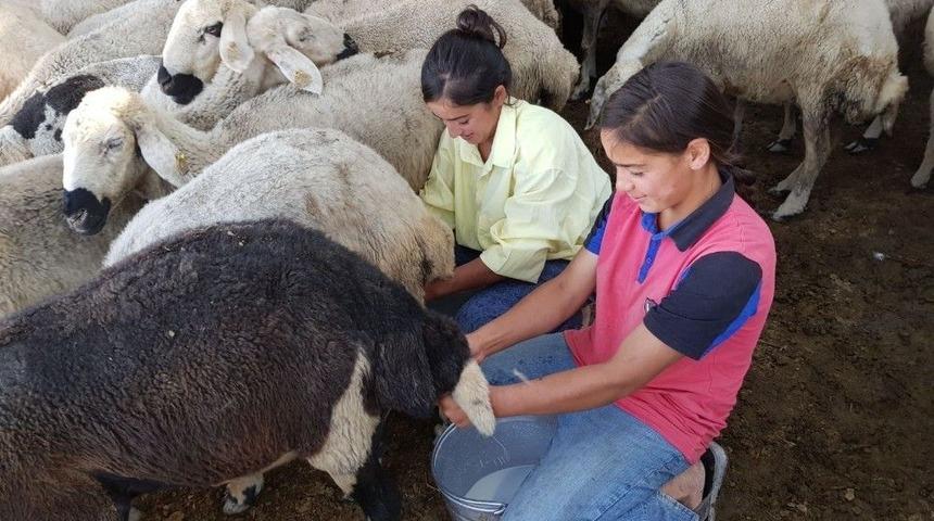 Tatilde Dinlenmek Yerine Çalıştılar