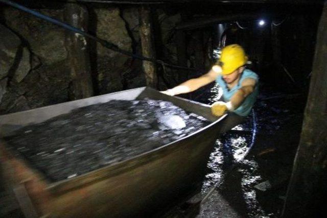 Zonguldak, Kömüre Alternatif Tarım Ve Hayvancılığı Hedefliyor