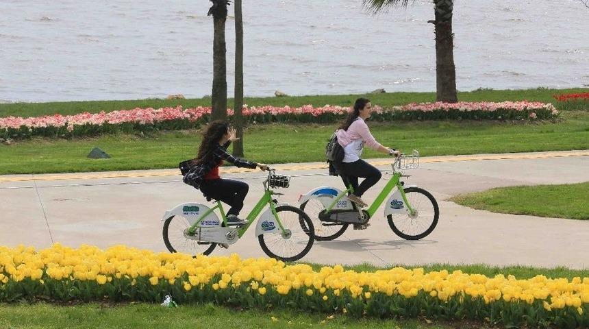 Kocaelililer Kobis&rsquo;i Sevdi