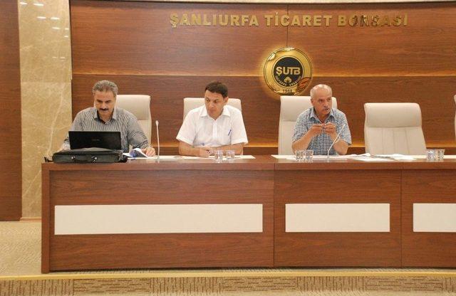 Şanlıurfa’da 150 Ton Yapağı Satıldı