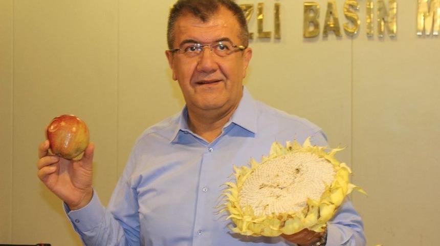 21&rsquo;inci Elma Tarım Ve K&uuml;lt&uuml;r Festivali Cuma G&uuml;n&uuml; Başlayacak