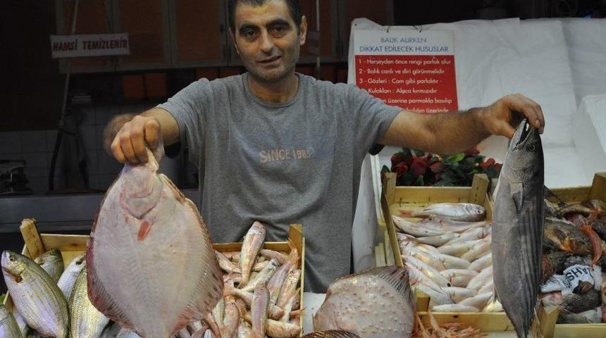 Balık Sezonu A&ccedil;ıldı Tezgahlar Canlandı