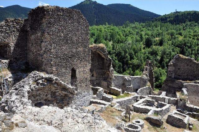 Şavşat Kalesi’nde Bin Yıllık Şarap Üretim Ünitesi Bulundu