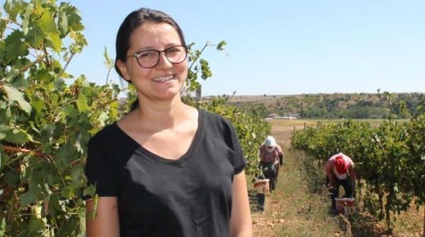 Edirne'de Bağ Bozumu Başladı