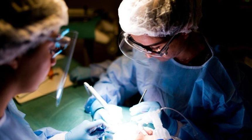 Hasta Yakınlarından Kartal Belediyesi &Ccedil;ocuk Ağız Ve Diş Sağlığı Merkezi&rsquo;ne Tam Not