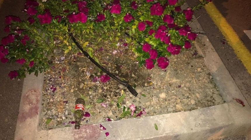 Belediyenin Diktiği &Ccedil;i&ccedil;ekleri Koparıp G&ouml;t&uuml;rd&uuml;