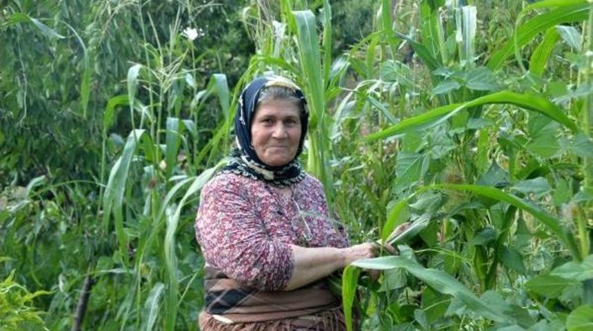 Ders Kitaplarına Konu &Uuml;mmiye Ko&ccedil;ak: Benim I&ccedil;in Gurur Verici