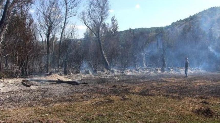 Sivas'ta Orman Yangını