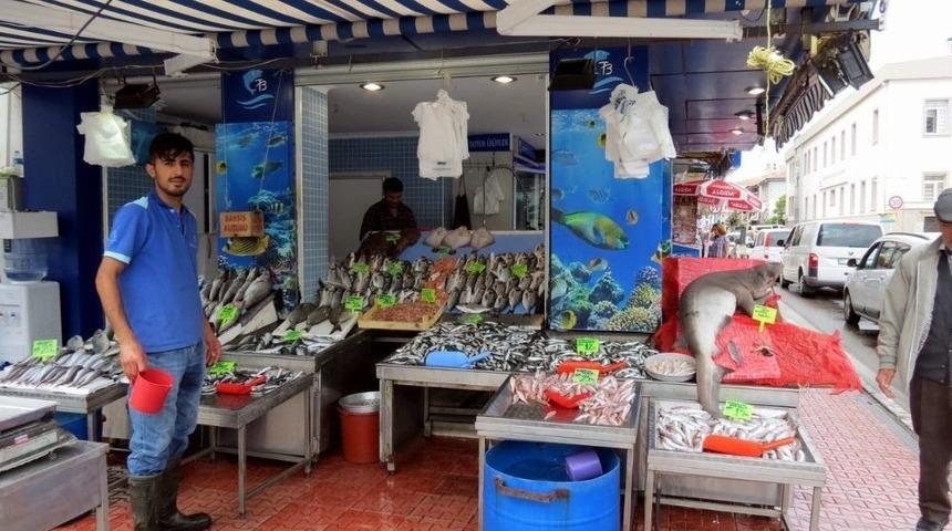 Balık Tezg&acirc;hları Şenlendi