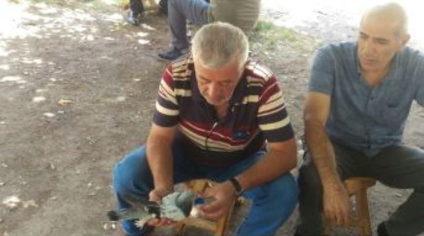 Susuzluk Kalan G&uuml;vercine Elinde Su İ&ccedil;irdi