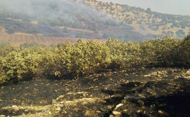 Ömerli’de Anız Yangını Bin 500 Dönümlük Araziyi Küle Çevirdi