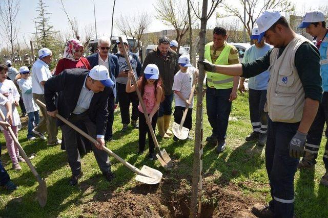 Yunusemre’de Ağaç Dikim Seferberliği