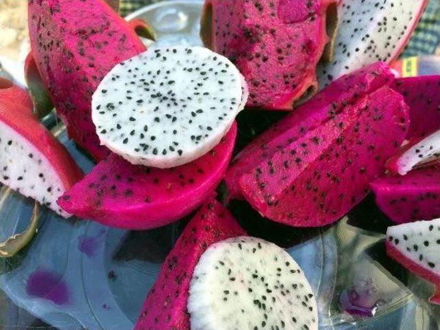 Çukurova'da Pitaya Üretimi Başladı