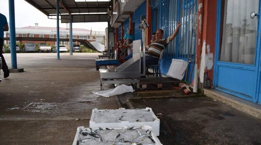 Karadeniz&rsquo;de Beklenen Av Hen&uuml;z Olmadı