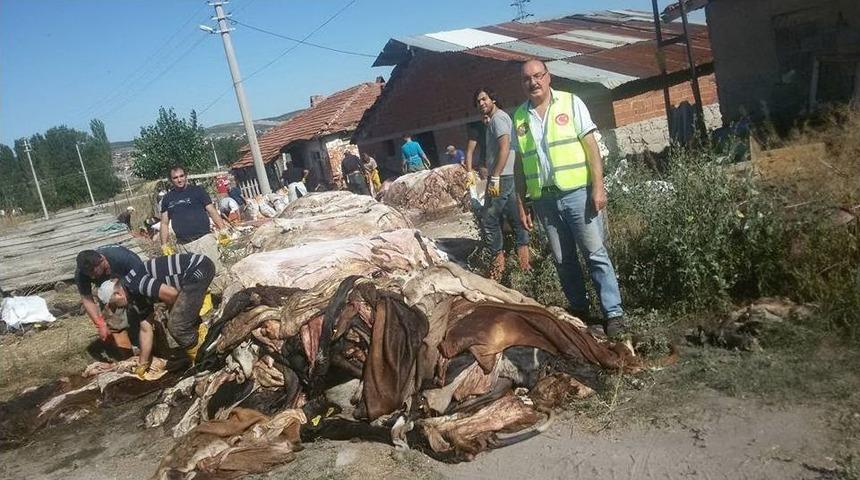 Hisarcık Thk 6 Bin 300 Tl&rsquo;lik Deri Topladı