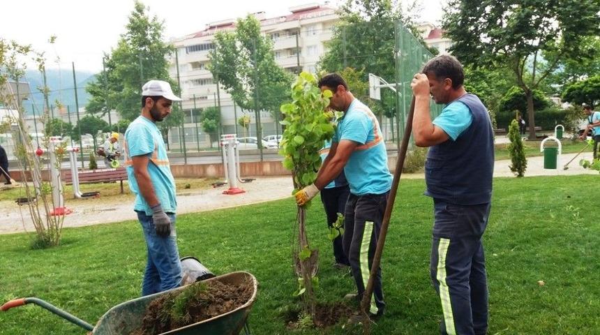 Yıldırım Parklarını Mevsimlik &Ccedil;i&ccedil;ekler S&uuml;sl&uuml;yor