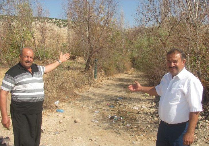 Bakan Eroğlu’un Talimatıyla Susuz Kalan Ağaçlara Su Verildi
