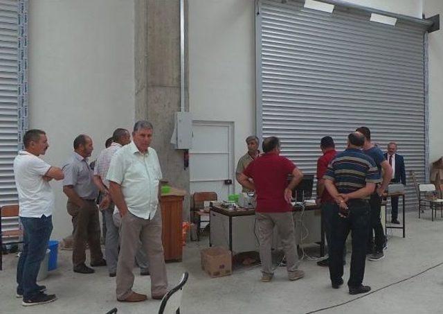 Tmo Fındık Alımına Başladı 2