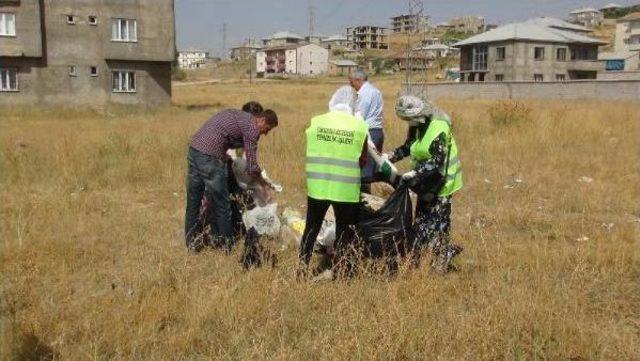 Yüksekova'da Kadın Işçiler Sokaklarda Temizliğe Başladı