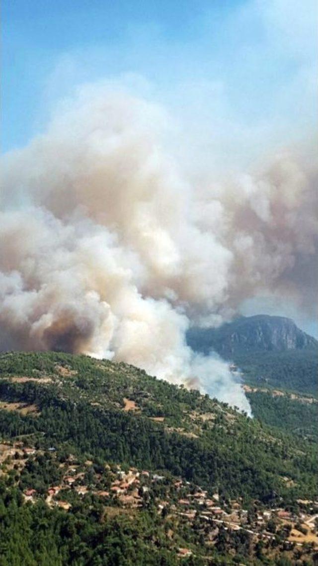 Muğla’da Orman Yangını