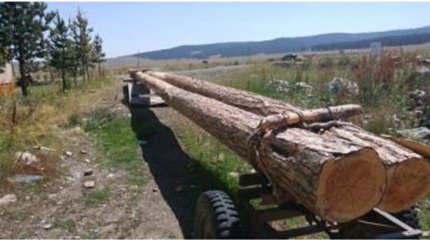 Şenkaya&rsquo;da İlgin&ccedil; Ka&ccedil;ak&ccedil;ılık Y&ouml;ntemi