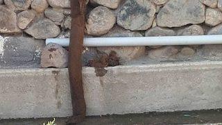 Ağaç Kökü, Köylüyü 15 Gün Susuz Bıraktı