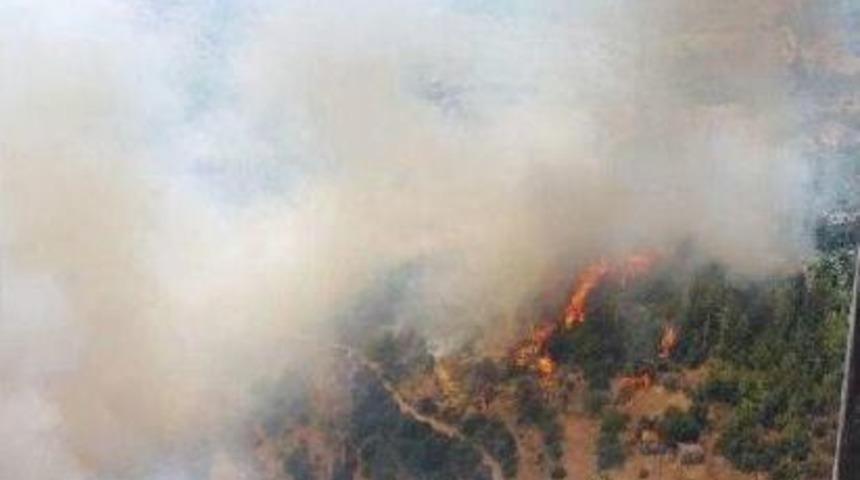 Muğla'da Orman Yangını