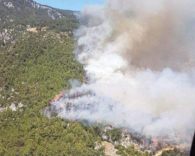 Muğla'da Orman Yangını