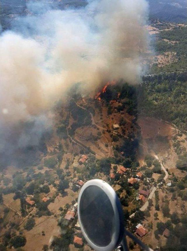 Muğla'da Orman Yangını