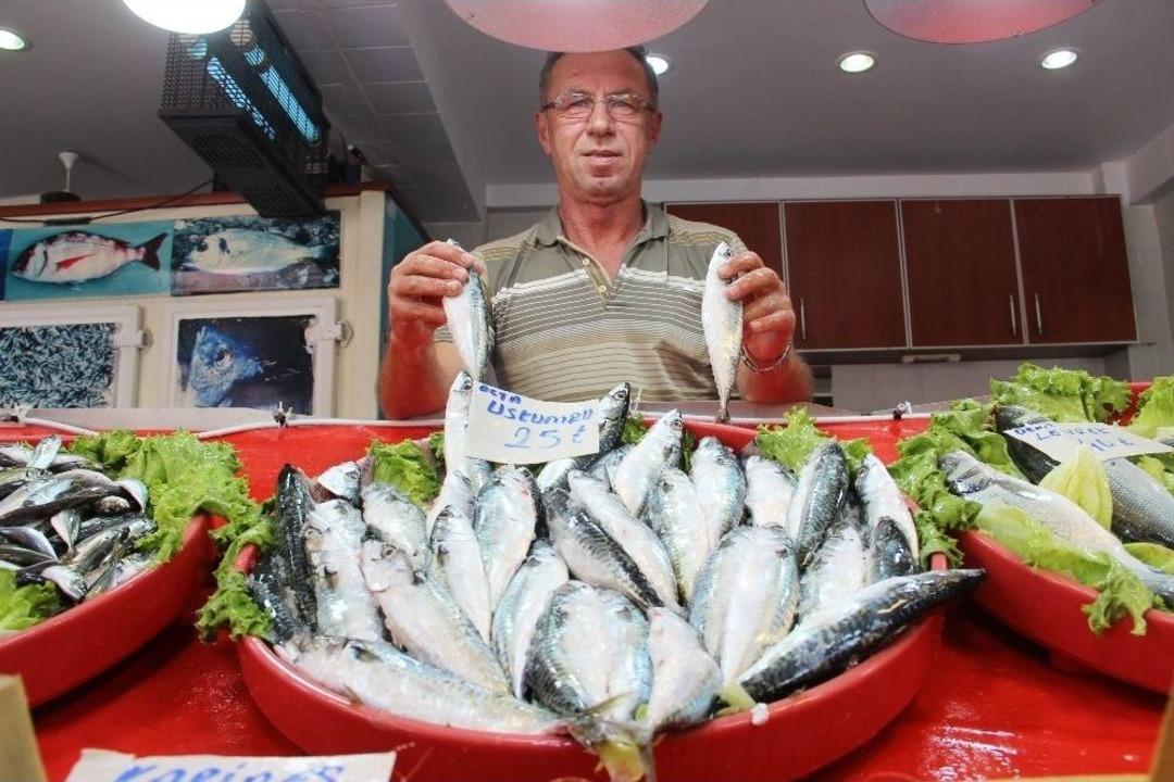 Palamutun Yerini Uskumru Aldı