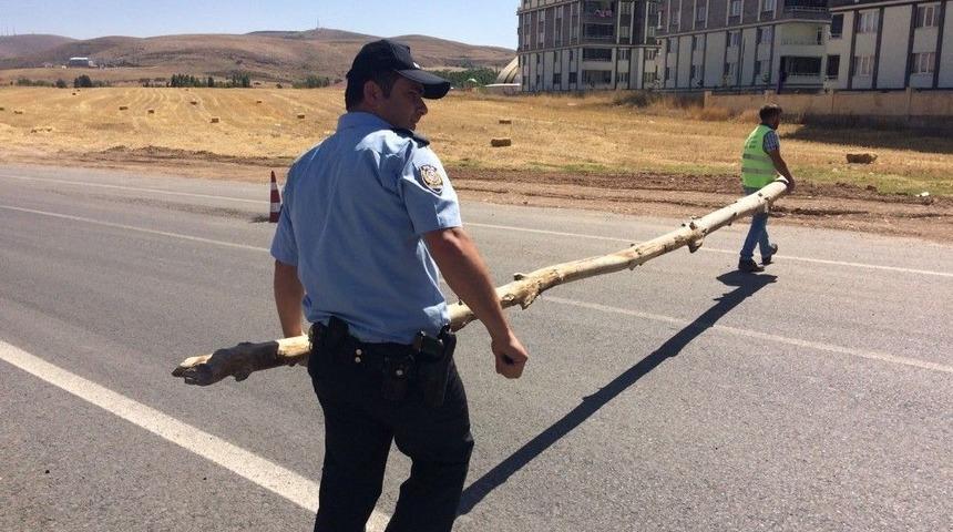 Ağa&ccedil; Tomruklarıyla Yolu Trafiğe Kapattı