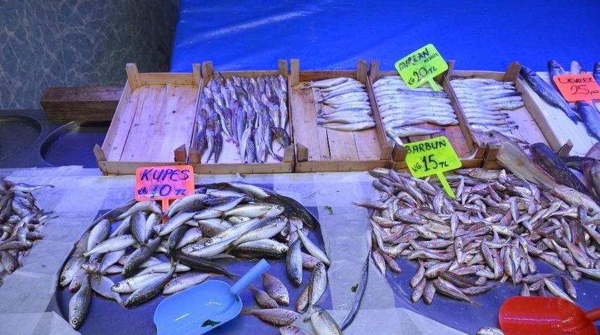 Bilecik Balık Sezonunun İlk Günlerinde Fiyatlar El Yaktı