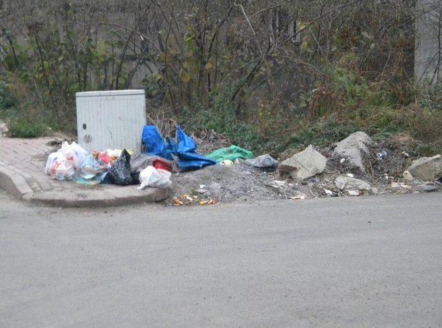 Aktepe’den Gündüz Sokağa Çöp Döken Vatandaşlara Uyarı