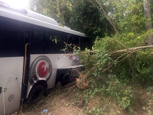 Amasya’da Midibüs Şarampole Uçtu: 26 Yaralı