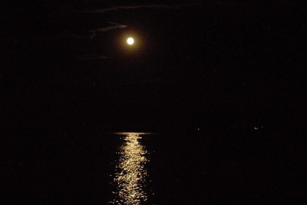 Yakamozu G&ouml;ren Sahile Koştu