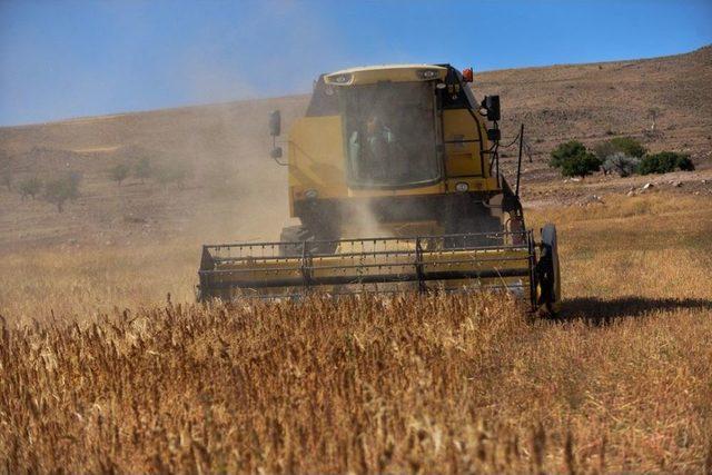 Çiftçiler Kayseri’de İlki Gerçekleştirdi