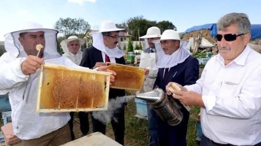 Ardahan'da Bu Yıl 600 Ton Bal Elde Edildi