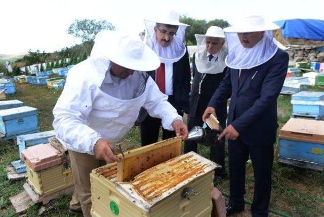 Ardahan'da Bu Yıl 600 Ton Bal Elde Edildi