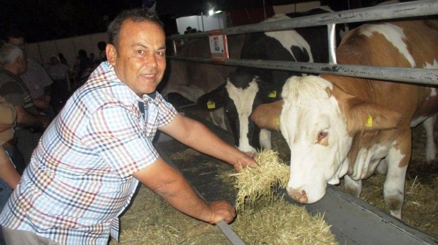 Almanya Ve Avusturya&rsquo;dan Bin D&uuml;ve İthal Edilecek