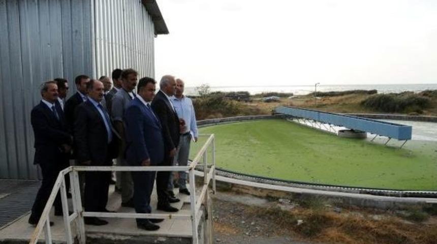 Van G&ouml;l&uuml; I&ccedil;in Yeni Arıtma Tesisi Kuruluyor