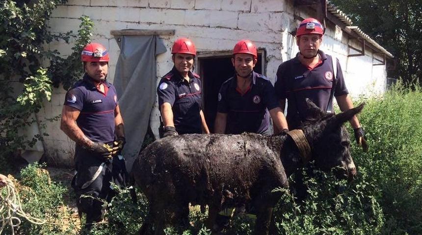 Foseptik Çukuruna Düşen Eşeği İtfaiye Kurtardı