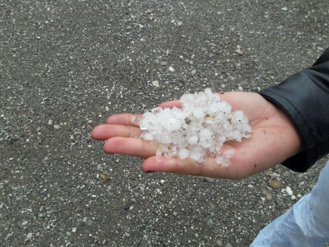 Dolu &Uuml;z&uuml;m Bağlarını Vurdu