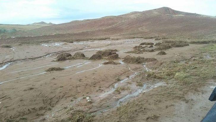 Dolu Üzüm Bağlarını Vurdu G1