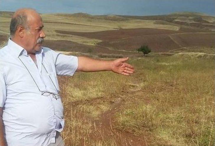 Dolu Üzüm Bağlarını Vurdu G2