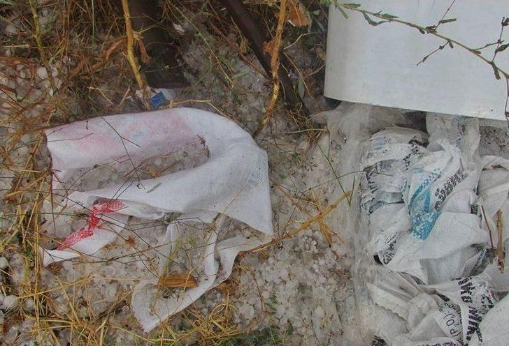 Dolu Üzüm Bağlarını Vurdu G3