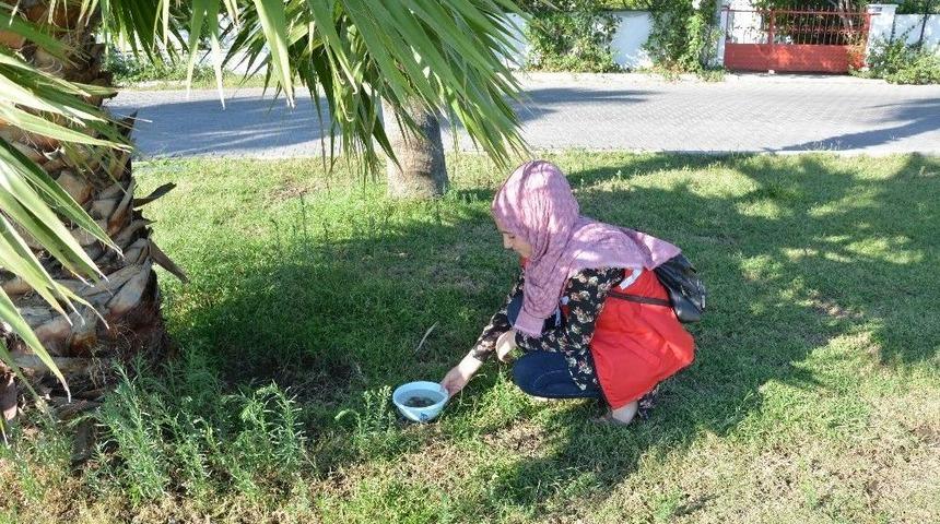 &Ouml;ğrenciler Sokak Hayvanları İ&ccedil;in Su Kabı Bıraktı