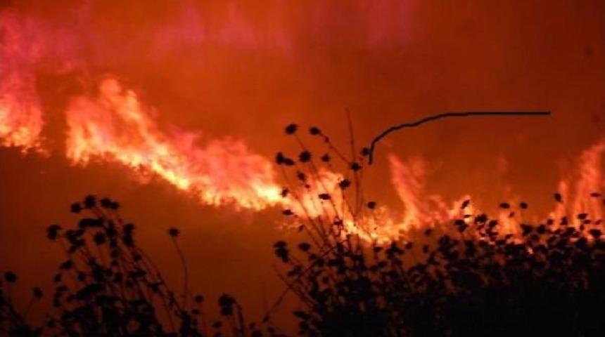 Didim'de Makilik Alanda Yangın &Ccedil;ıktı