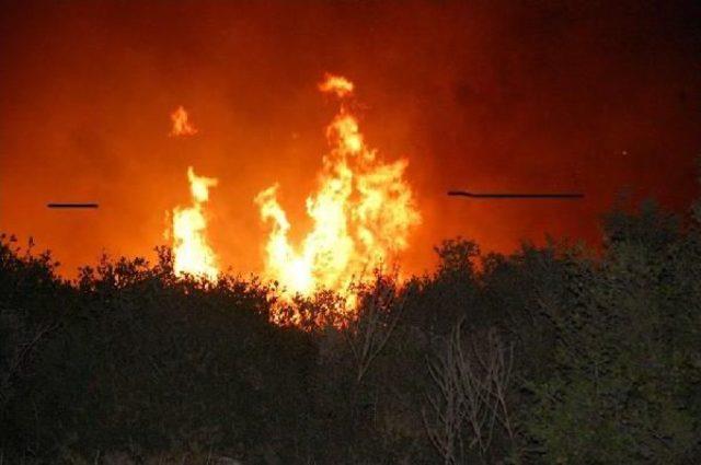 Didim'de Makilik Alanda Yangın Çıktı