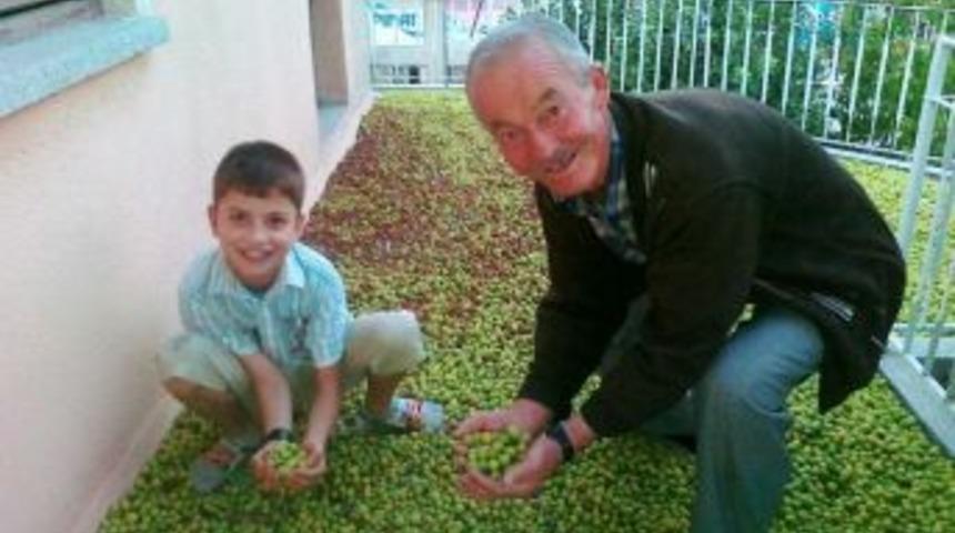 Dağ Eriği Suyuyla Biber Turşusu